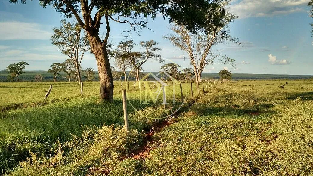 Fazenda, 1452 hectares - Foto 19