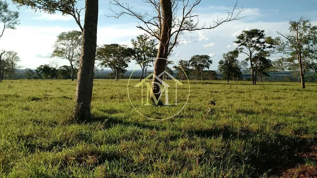 Fazenda, 1452 hectares - Foto 20