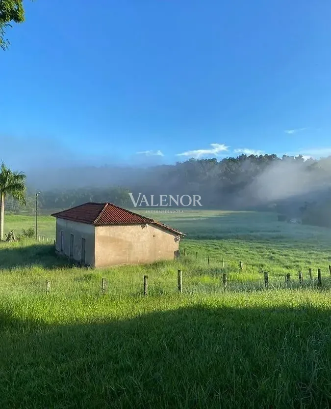 Fazenda, 97 hectares - Foto 3