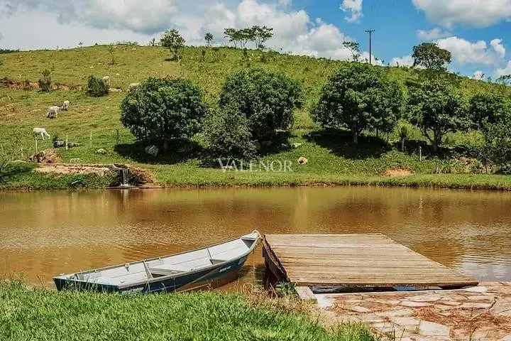 Fazenda, 97 hectares - Foto 24