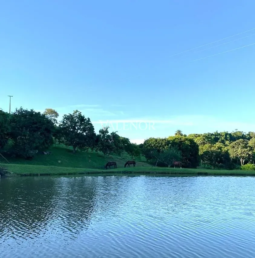 Fazenda, 97 hectares - Foto 25