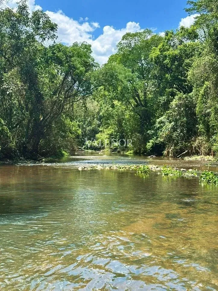 Fazenda, 97 hectares - Foto 31