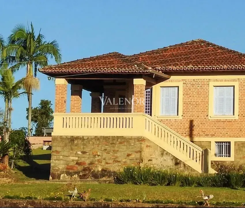 Fazenda, 97 hectares - Foto 6