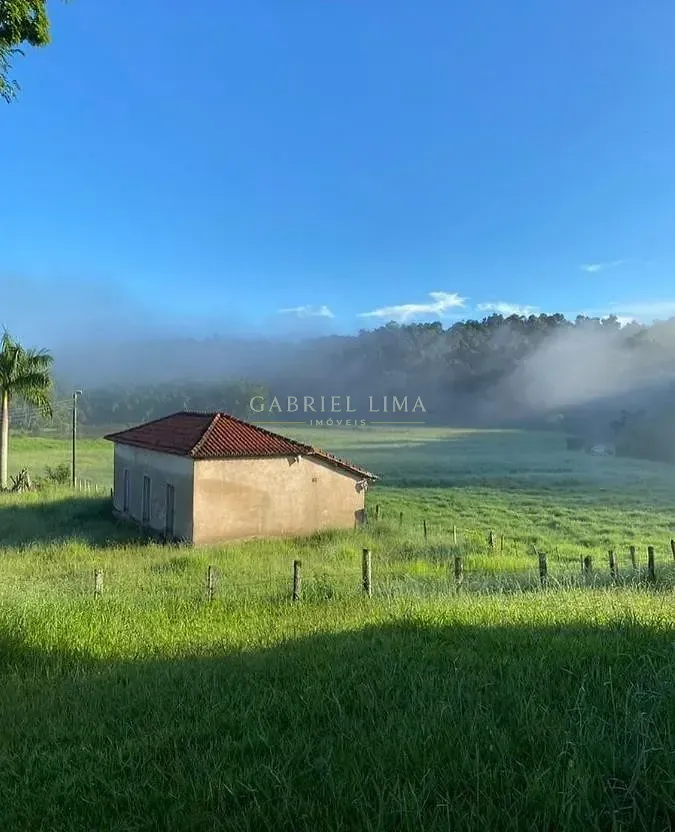 Fazenda, 97 hectares - Foto 3
