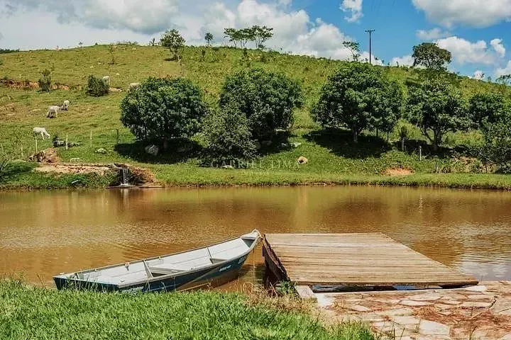 Fazenda, 97 hectares - Foto 24
