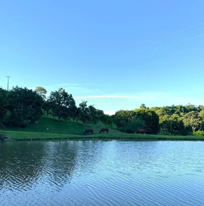 Fazenda, 97 hectares - Foto 25