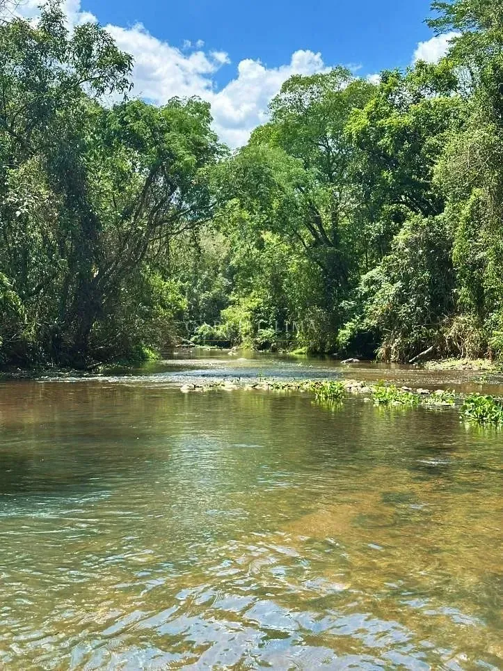 Fazenda, 97 hectares - Foto 31
