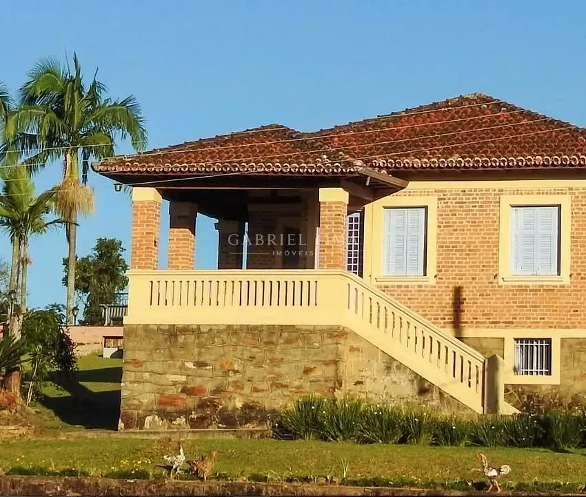 Fazenda, 97 hectares - Foto 6