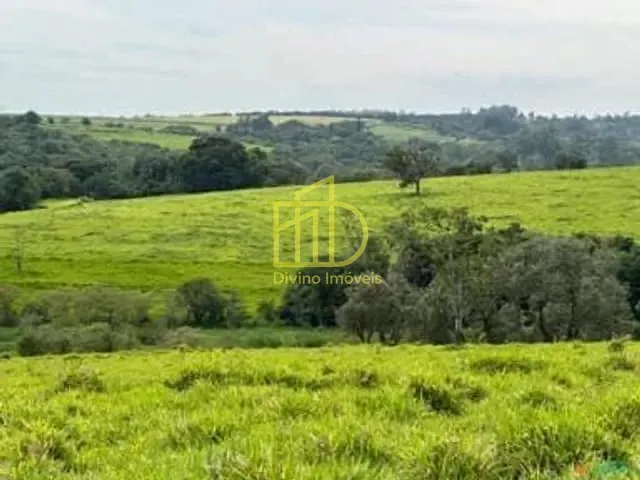 Fazenda com 1282600m², à venda, no bairro Rio Verde em Araçoiaba da Serra