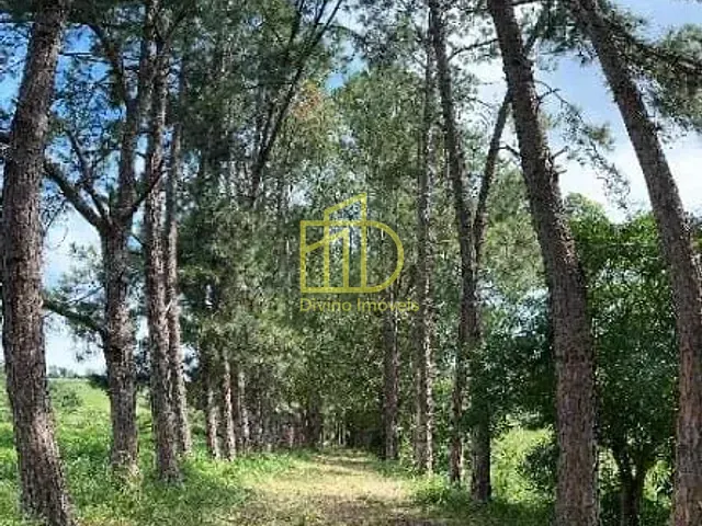 Fazenda com 1282600m², à venda, no bairro Rio Verde em Araçoiaba da Serra