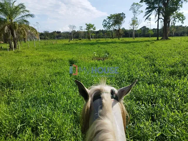 Fazenda com 135m² 1 quarto e 1 banheiro, à venda, no bairro rural em Canavieiras