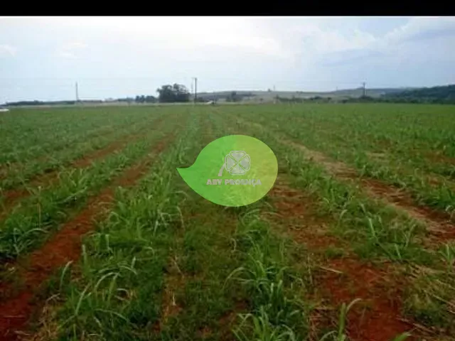 Fazenda com 1137400m², à venda, no bairro Centro em Tatuí