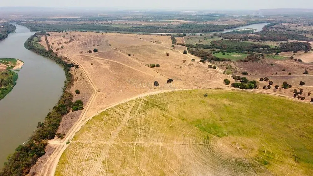 Fazenda, 2132 hectares - Foto 6