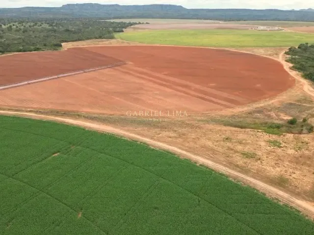 Fazenda com 21320000m² 5 quartos e 5 banheiros, à venda, no bairro Centro em Buritizeiro
