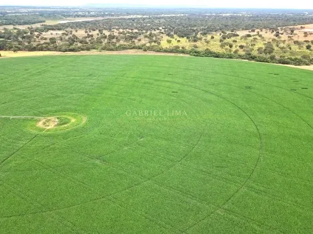 Fazenda com 21320000m² 5 quartos e 5 banheiros, à venda, no bairro Centro em Buritizeiro