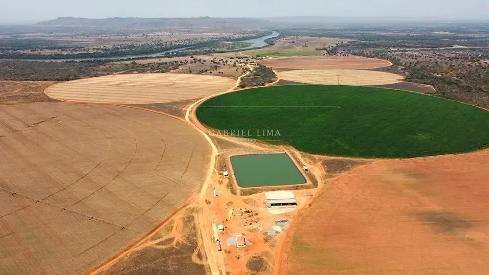 Fazenda, 2132 hectares - Foto 8