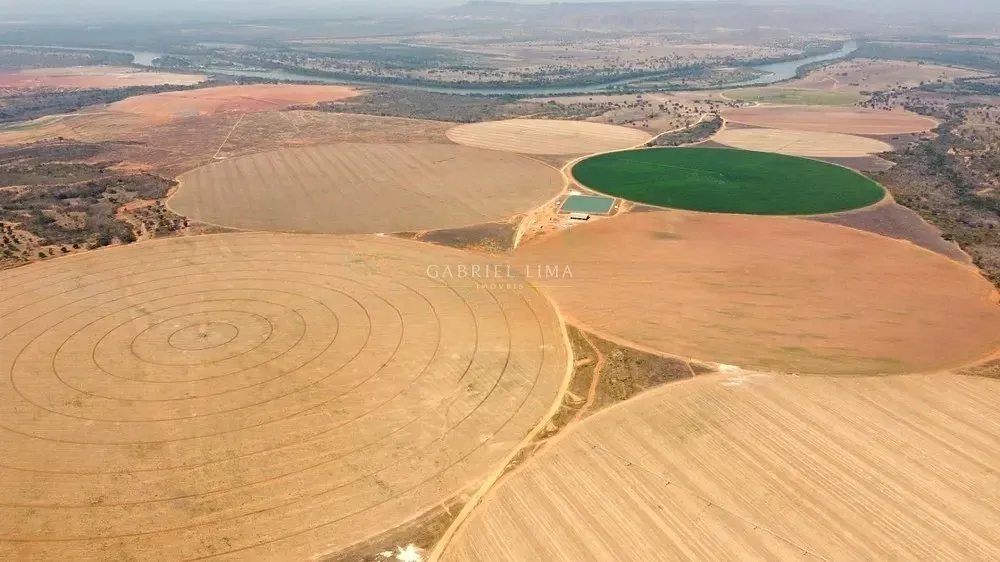 Fazenda, 2132 hectares - Foto 9