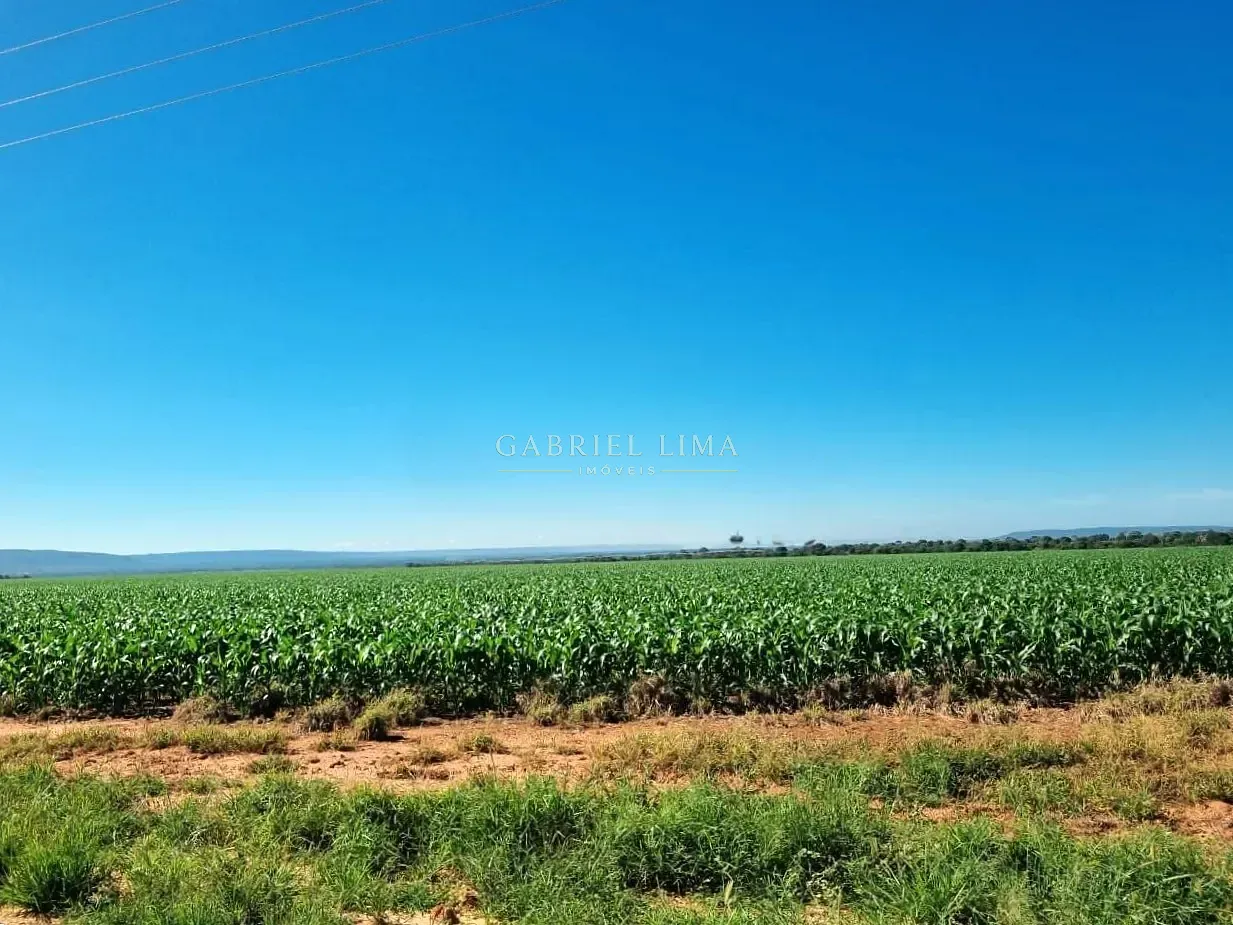 Fazenda, 2132 hectares - Foto 21