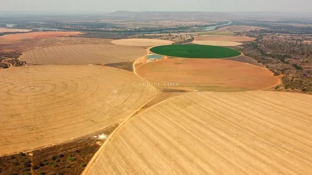 Fazenda, 2132 hectares - Foto 12
