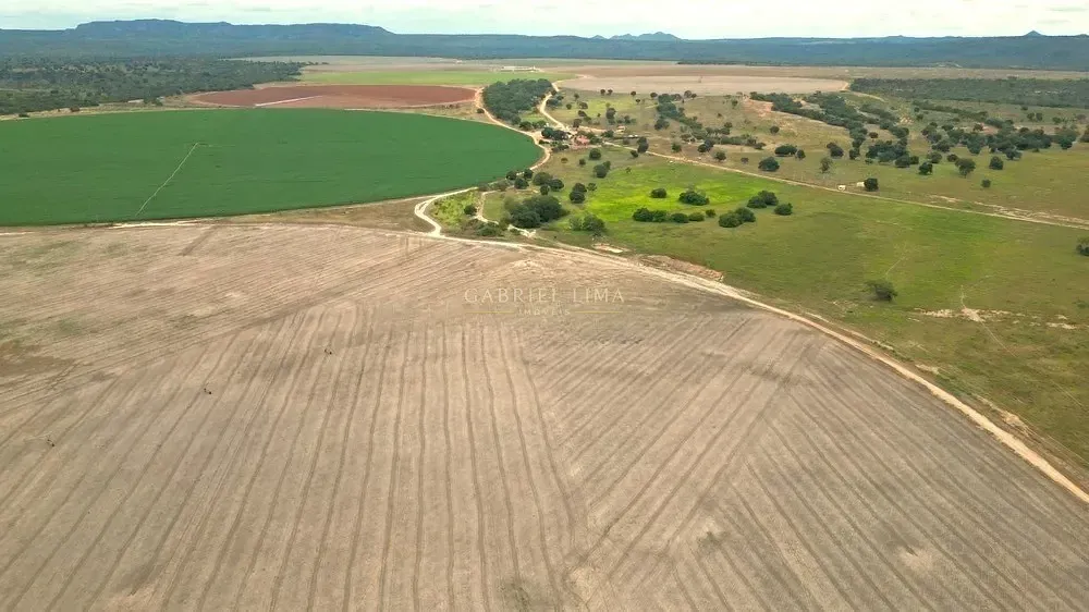 Fazenda, 2132 hectares - Foto 15
