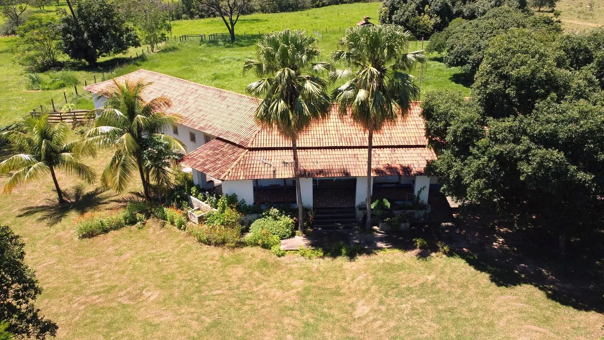 Fazenda, 8402 hectares - Foto 12