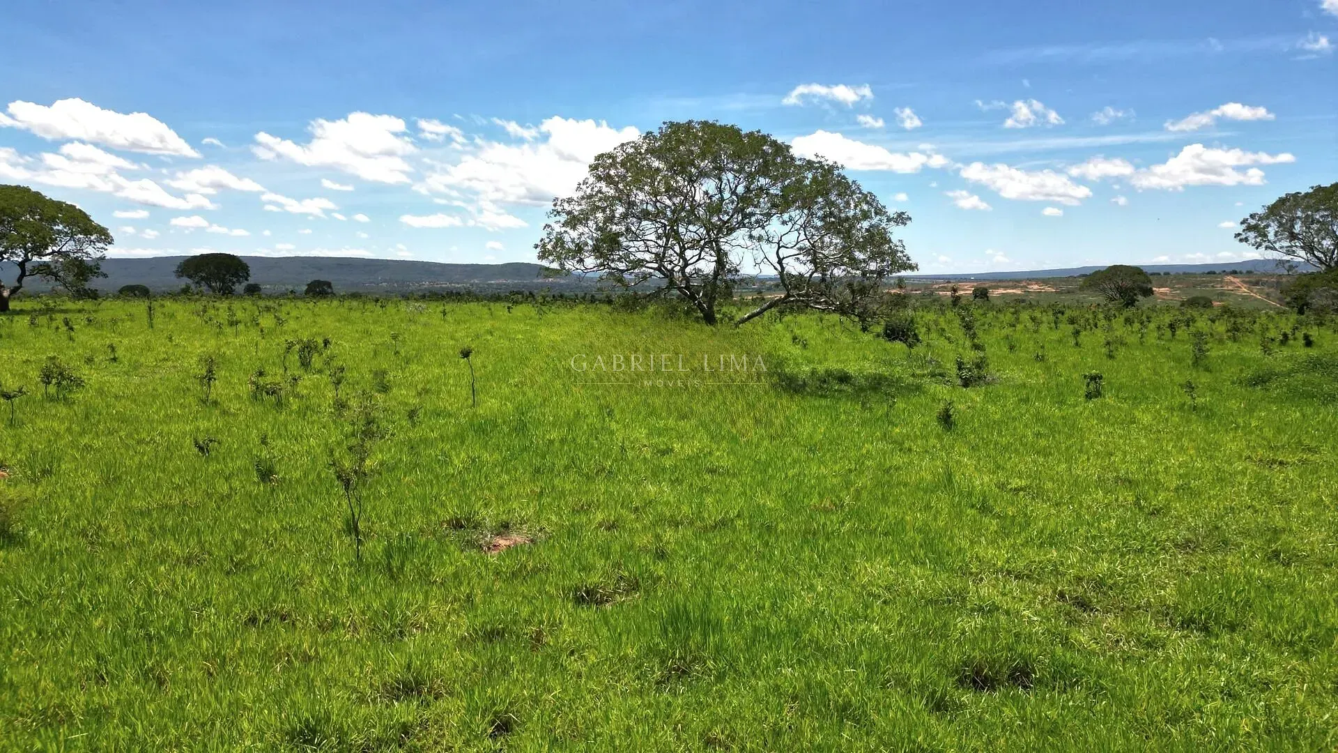 Fazenda, 8402 hectares - Foto 11