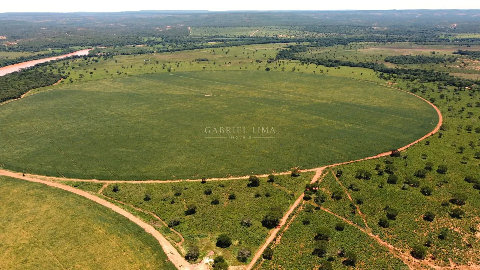 Fazenda, 8402 hectares - Foto 4