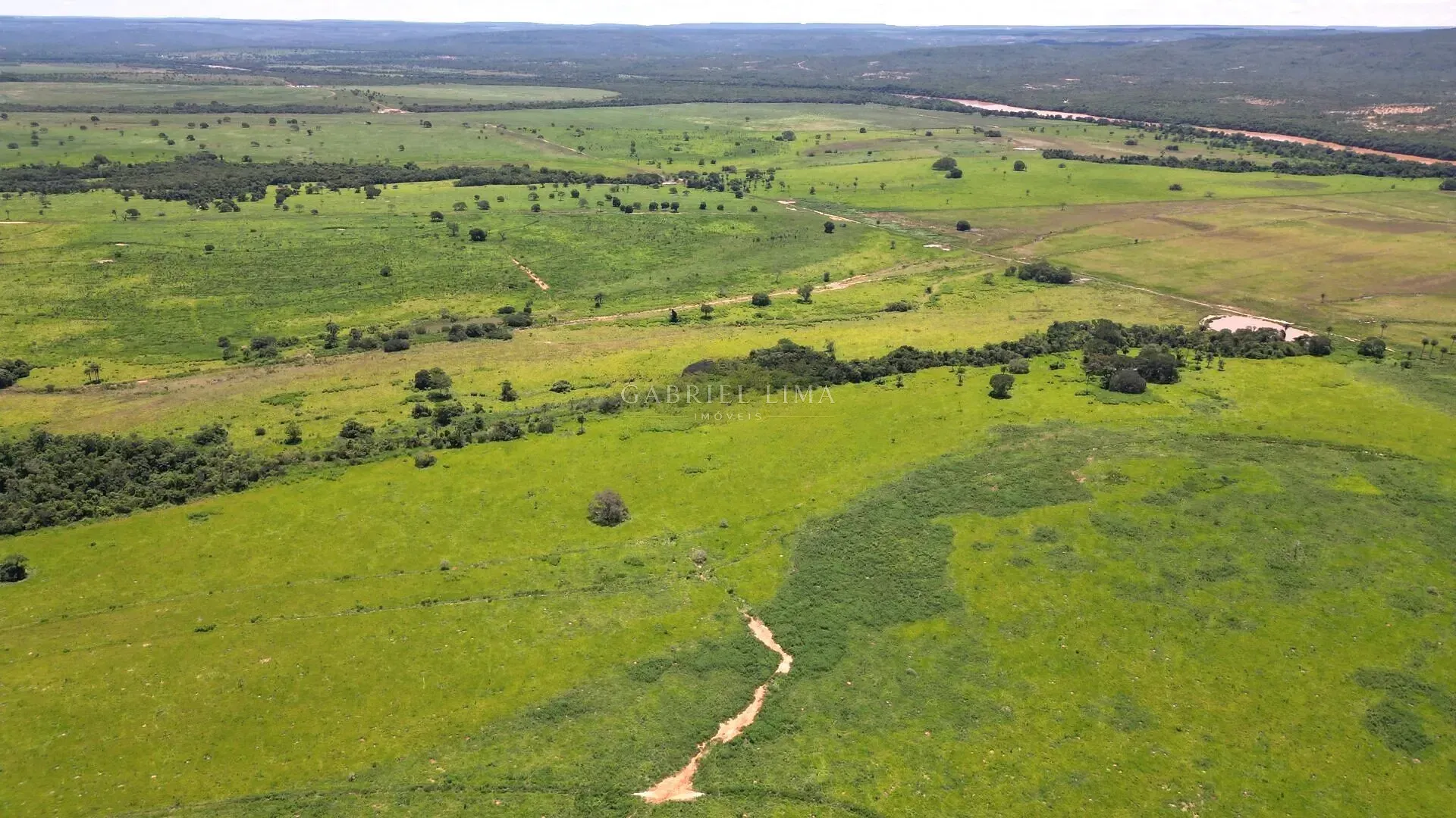 Fazenda, 8402 hectares - Foto 9