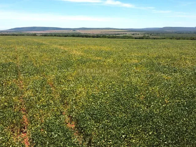 Fazenda com 84020000m² 5 quartos e 5 banheiros, à venda, no bairro Centro em Corinto