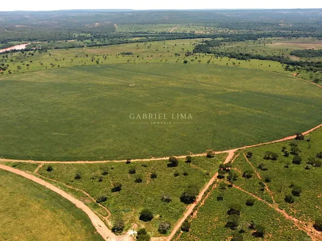 Fazenda com 84020000m² 5 quartos e 5 banheiros, à venda, no bairro Centro em Corinto