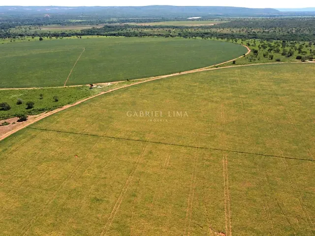 Fazenda com 84020000m² 5 quartos e 5 banheiros, à venda, no bairro Centro em Corinto