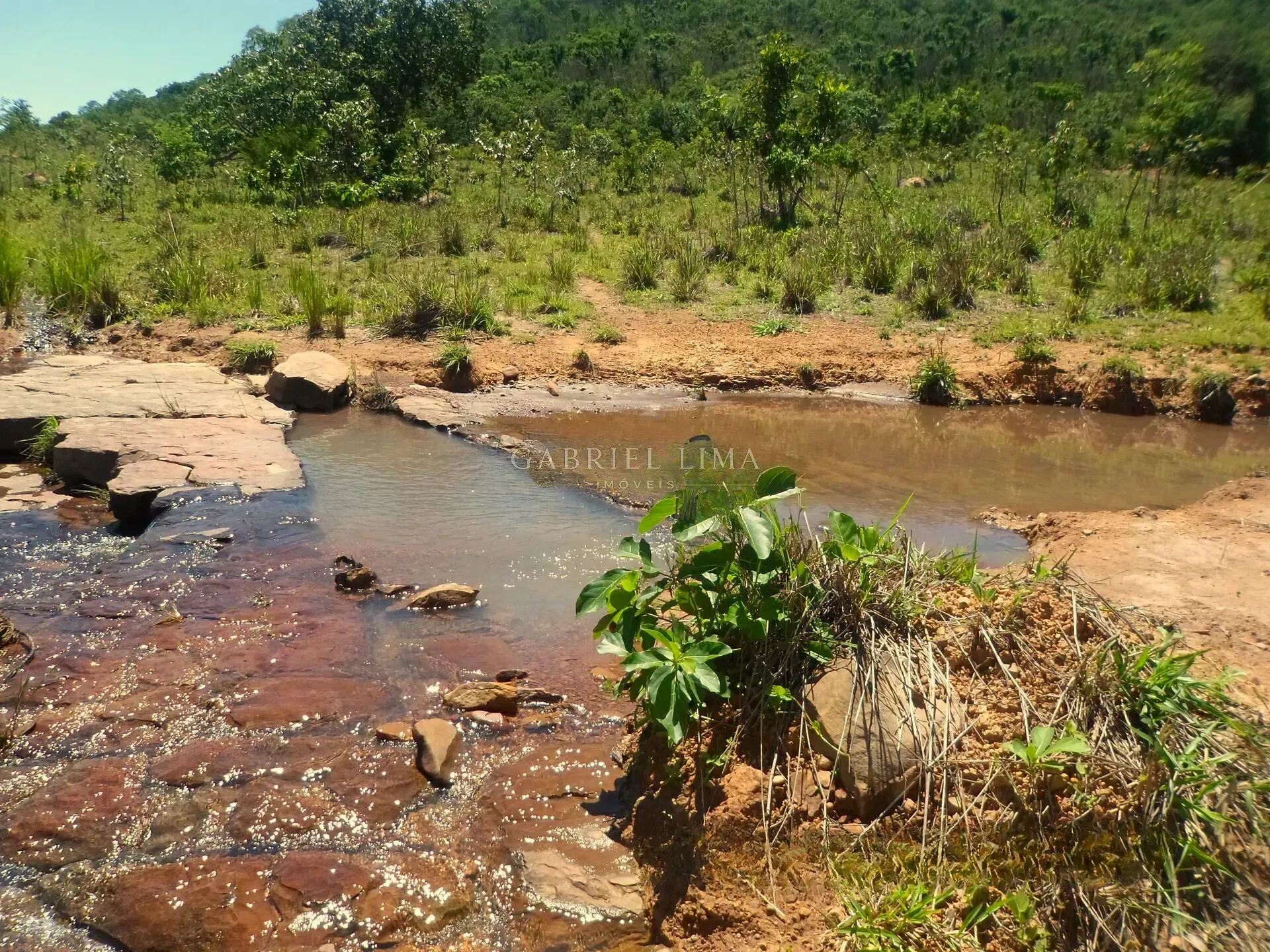 Fazenda, 8402 hectares - Foto 17