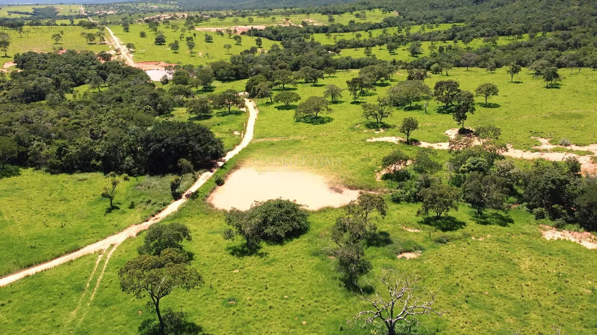 Fazenda, 8402 hectares - Foto 10