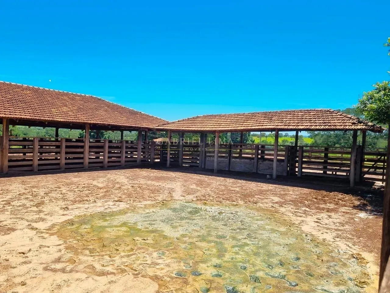 Fazenda, 8402 hectares - Foto 15