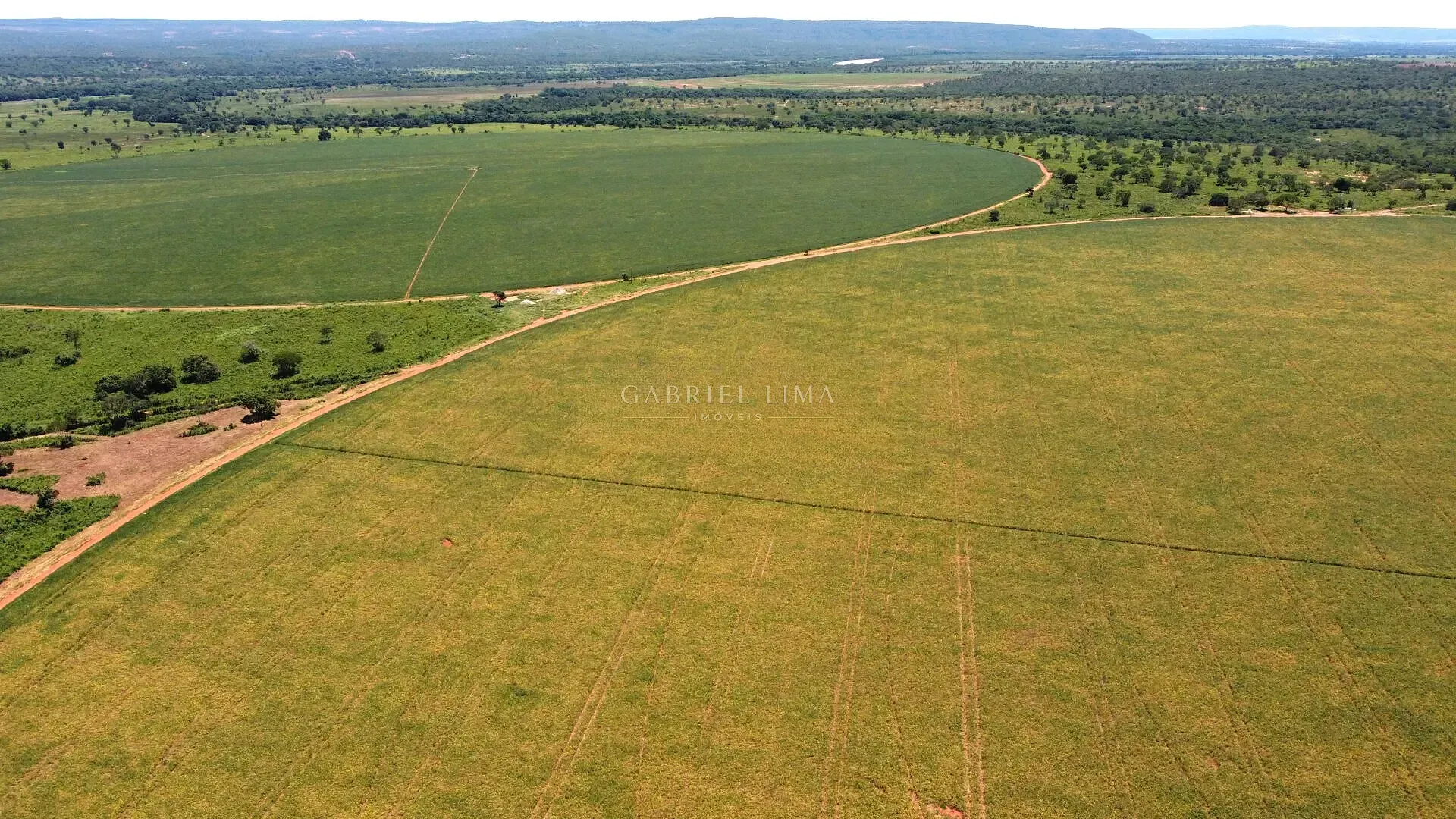 Fazenda, 8402 hectares - Foto 3