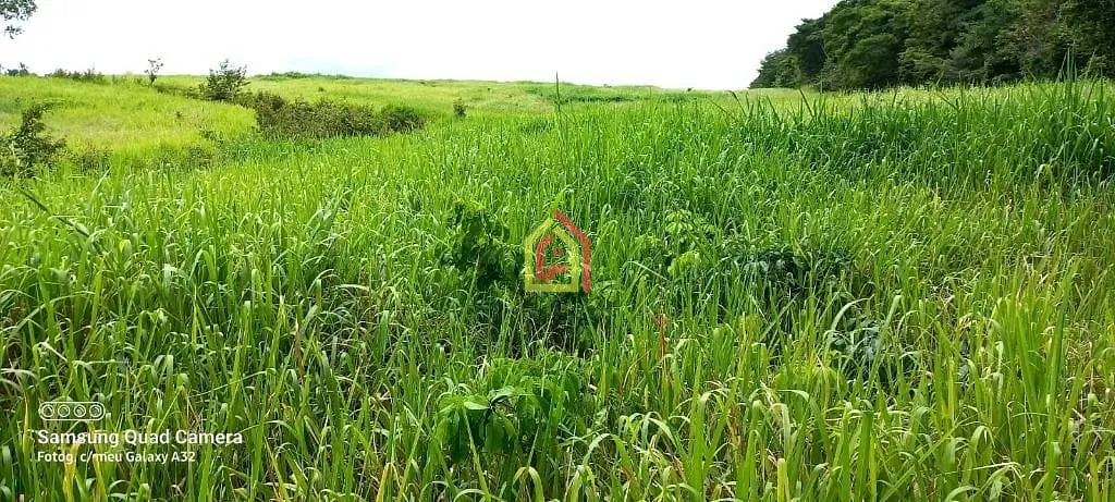 Rural à venda com 36590400m² de terreno no Zona Rural, Abel Figueiredo (PA) — foto 2 de 14
