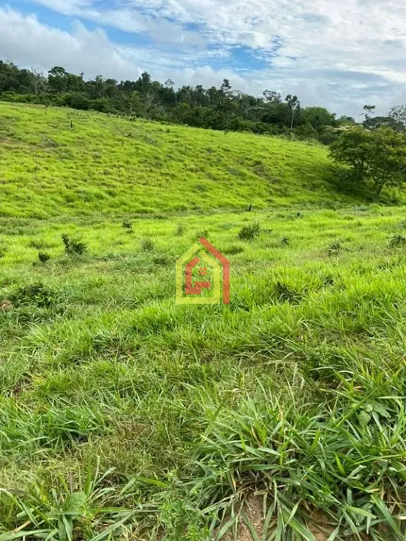 Rural à venda com 36590400m² de terreno no Zona Rural, Abel Figueiredo (PA) — foto 5 de 14