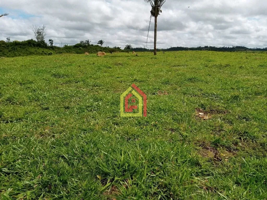 Rural à venda com 36590400m² de terreno no Zona Rural, Abel Figueiredo (PA) — foto 7 de 14