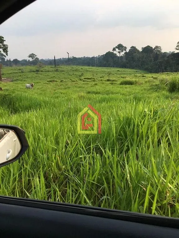 Rural à venda com 36590400m² de terreno no Zona Rural, Abel Figueiredo (PA) — foto 10 de 14