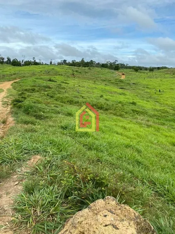 Rural à venda com 36590400m² de terreno no Zona Rural, Abel Figueiredo (PA) — foto 6 de 14