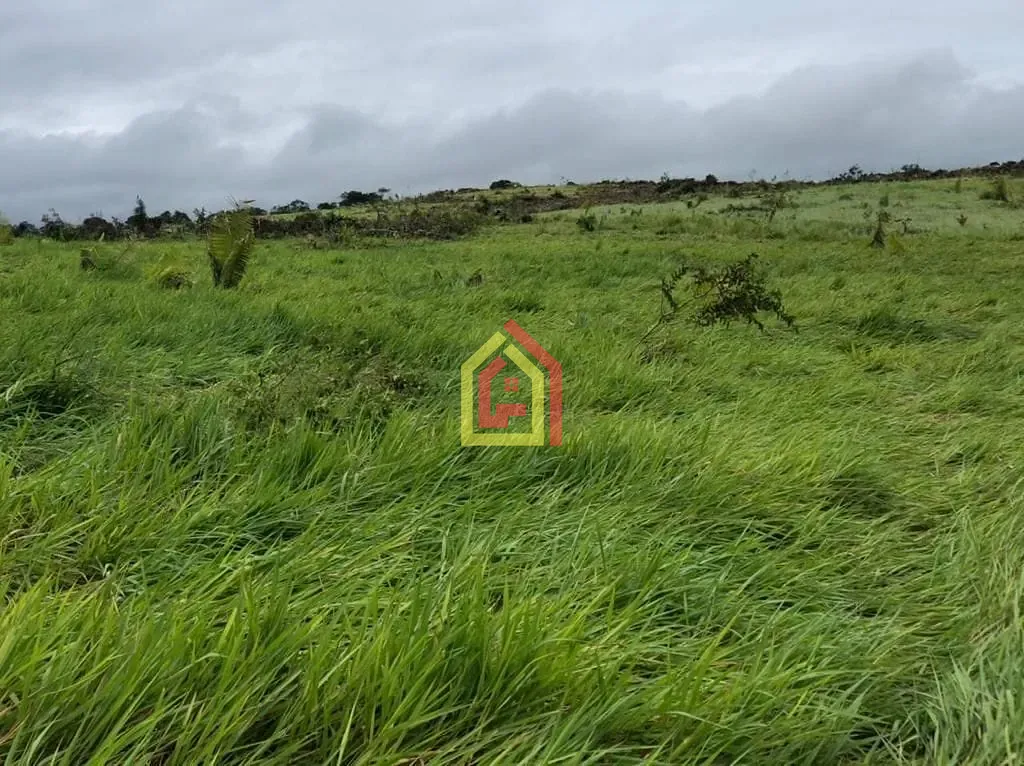 Rural à venda com 36590400m² de terreno no Zona Rural, Abel Figueiredo (PA) — foto 14 de 14