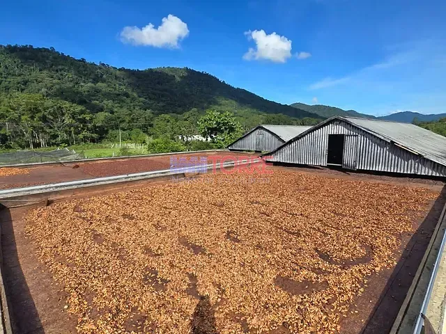 Fazenda com 252m² 3 quartos e 2 banheiros, à venda, no bairro BR em Coaraci