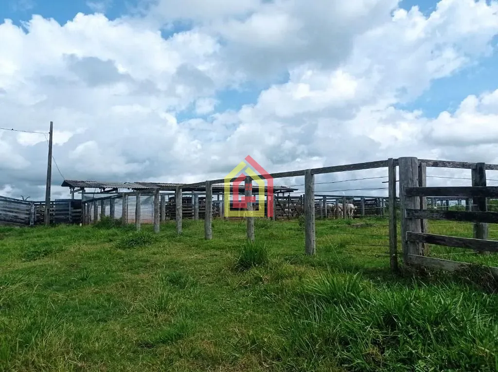 Rural à venda com 16456000m² de terreno no Zona Rural, Bom Jesus do Tocantins (PA) — foto 8 de 17