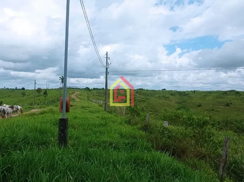 Rural à venda com 16456000m² de terreno no Zona Rural, Bom Jesus do Tocantins (PA) — foto 16 de 17