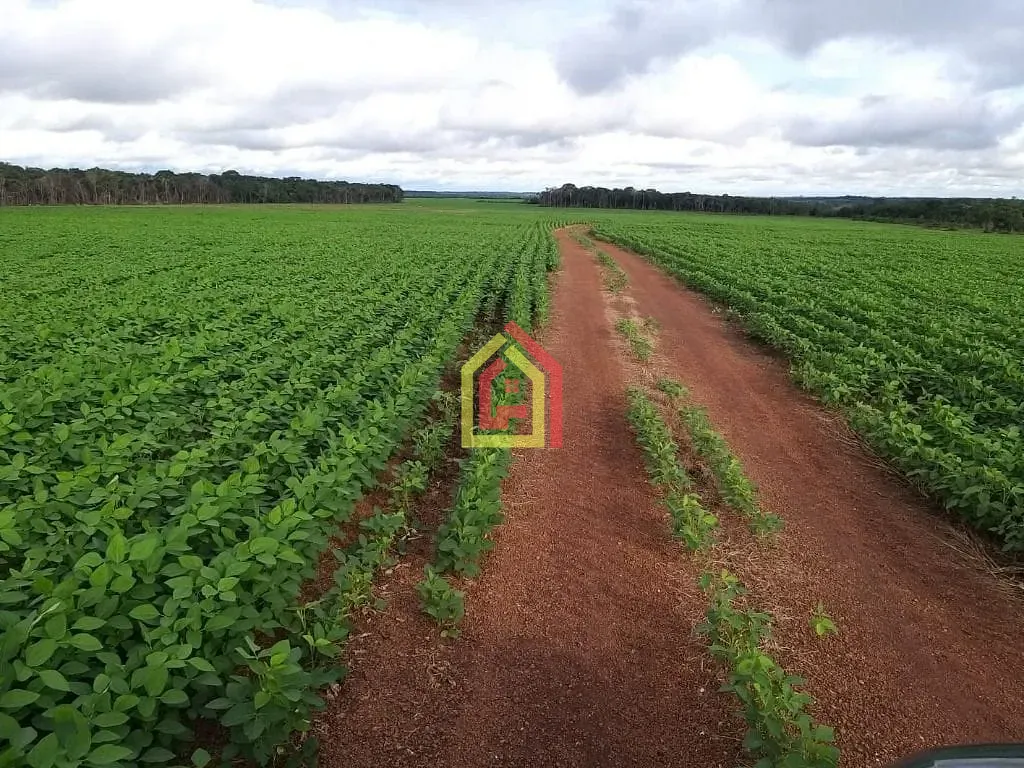 Rural à venda com 21780000m² de terreno no Zona Rural, Pau-d'Arco (PA) — foto 2 de 4
