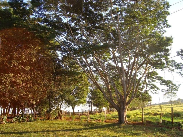 Foto do Fazenda - Fazenda à venda, 726000 m² por R$ 3.000.000,00 - Distrito Industrial II - Uberaba/MG | ZUCATO IMOBILIARIA LTDA