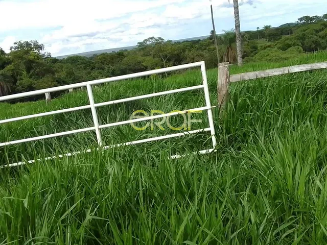 Fazenda à venda, no bairro ZONA RURAL em Cabeceiras