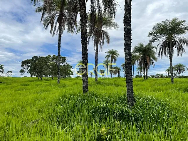 Fazenda à venda, no bairro ZONA RURAL em Cabeceiras