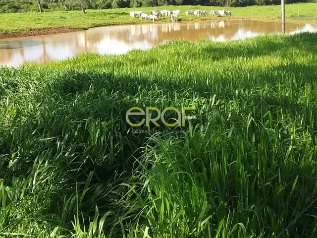 Fazenda à venda, no bairro ZONA RURAL em Cabeceiras