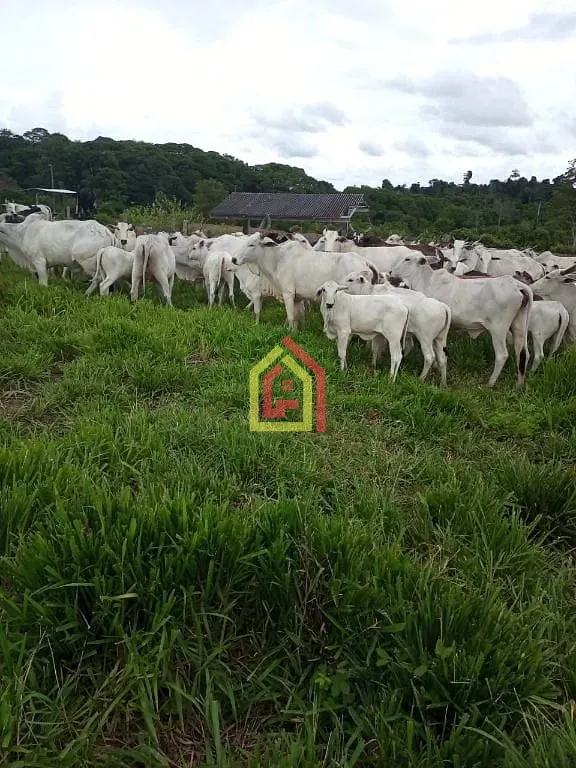 Rural à venda com 13310000m² de terreno no Zona Rural, Jacundá (PA) — foto 13 de 14